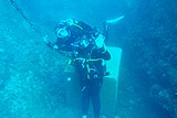 DSC02176.jpg